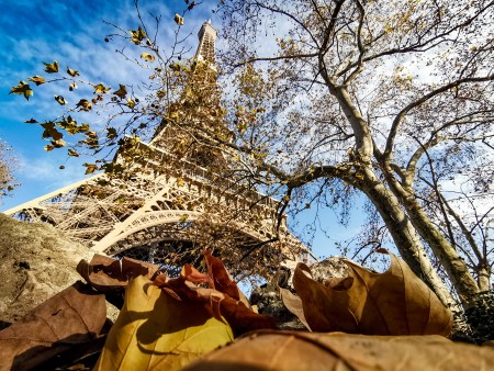 Foto de la Torre Eiffel en invierno