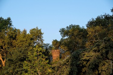 Chimenea 